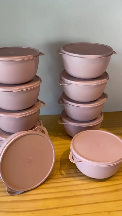 Kit Potes Plásticos 10 unidades BOWL Marmitas