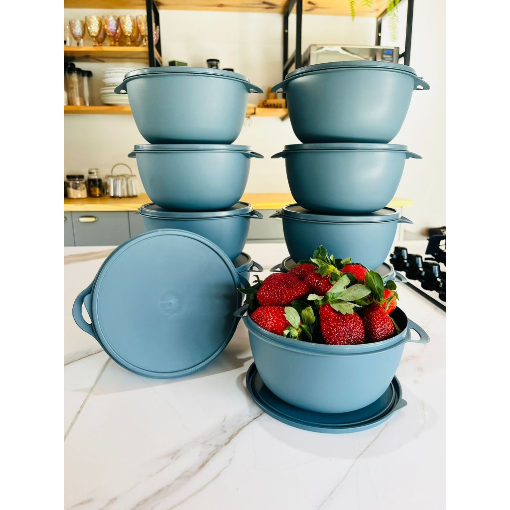 Kit Potes Plásticos 10 unidades BOWL Marmitas